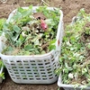 南蛮味噌の作り方とレシピ