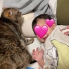 あんころもちの成長記録163