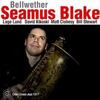 Seamus Blake  / Bellwether