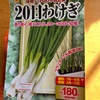 10月16日　晴れ　タマネギ苗を植えた