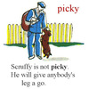 今日の単語: picky