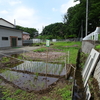 川口市　道合～安行領根岸の湧水と寺社　見沼代用水に沿って