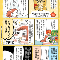 マンガ 日本のお菓子は心に染みる デザイナー脂肪