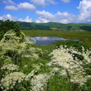 kirigaminend’s blog