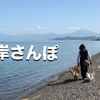 今朝の散歩は琵琶湖の波打ち際でチャプチャプしました