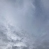 自転車