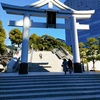 今年の初詣は日枝神社へ行きました