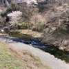 4月4日(金)秩父フライフィールドの河川情報