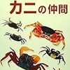 カニの飼育参考まとめ ※随時更新