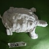 かめさん🐢つくる　②