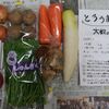 【ふるさと納税】岩手県北上市野菜セット　5000円