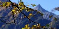 涸沢の紅葉　入山編（槍を見る）