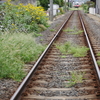 今朝の散歩道・・・ことでん電車