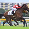 指名馬情報:牝馬第8位