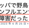 鳥インフルエンザ、本当の原因は？　たとえ、鳥インフルが収まっても、鶏舎の火災は止まらない。食糧危機への新たな解決策？！