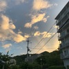 なんか、嫌いになれないんよ台風って