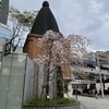 アジアな空間　その２０１０３　仕上げの桜パト　日本橋高島屋の桜通り　の巻