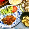 肉汁で丸々膨らむフレッシュトマトソースのハンバーグ 　さて健診でHbA1cのほうは？