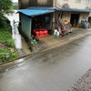 歴史を知る大切さを思い出した