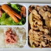 今日のお弁当