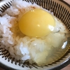 ほかほかごはん