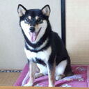 365日呑んでいますが、なにか？