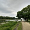 体調が変な3日間、そして例会ラン