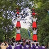  野間神社・春祭り