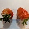 ルーティンワークお生産性を上げる方法