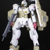 HG カットシー　レビュー