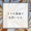 【挑戦中】２つの農園で見習いなる