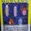 『【はたらく土の虫】読みました』の事。