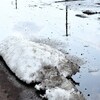 汚れた雪も被写体に！