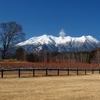 2025年12/29　開田高原の野鳥
