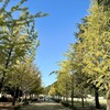 元気をお裾分け・・