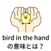 bird in the hand「手の中の鳥」の実際の意味とは？