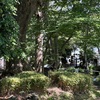 富士山の恵緑蔭せせらげり(あ)