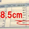 ジムを続けたらお腹回りがマイナス8.5cmになったのでジムはいいぞって話