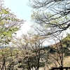 リンパ　　（第1315回）