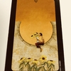 sun and moon tarot : nine of pentacles - gain