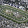 東京ダービーに関する雑学！