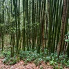 家族で話せるうちに