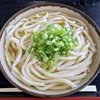  2017/05/13 かけうどん(冷) 2玉