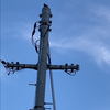 電柱の てっぺんに キジバト20250820