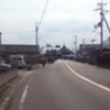 駅からウォーク　第１０回みんなと楽しく県民ウォーク