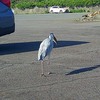 他人の不幸は蜜の味？なんじゃこりゃぁ！