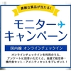 ANAモニターキャンペーン当選‼