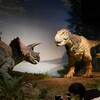 【ミュージアムパーク茨城県自然博物館】恐竜大好きな息子を連れて行ってきました