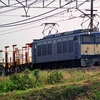 １９９６年９～１０月期の鉄道汚写真　豊橋鉄道・１１３系快速