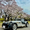 出会いと別れを綴る桜とセブンの旅。